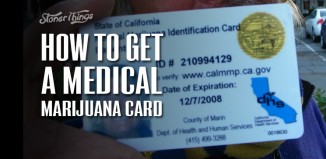medical marijuana card york mess already