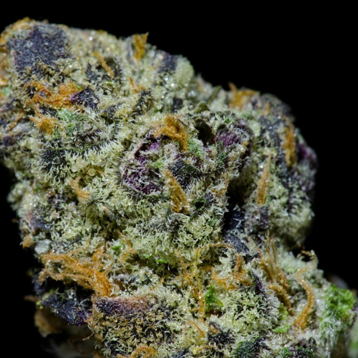 girl-scout-cookies-review