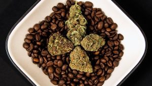 coffee beans weed