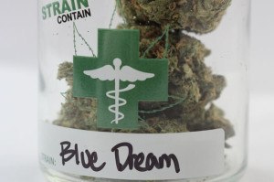 Blue Dream Strain Contain