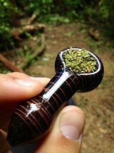 Person holding marijuana pipe packed with weed