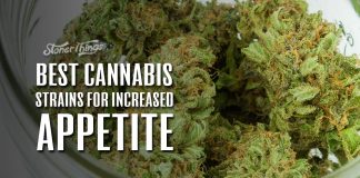 best cannabis strains for appetite