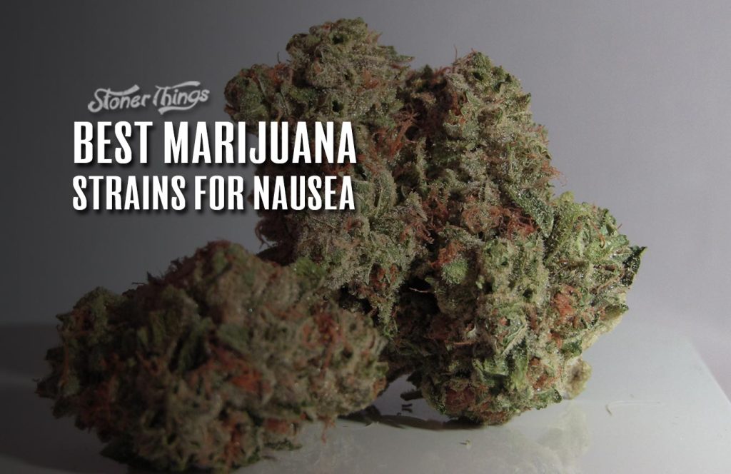 6 Best Marijuana Strains For Nausea Stoner Things