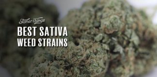 best sativa weed strains