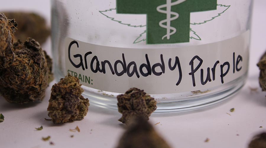 easiest cannabis strains to grow