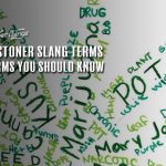 stoner slang terms