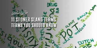 stoner slang terms