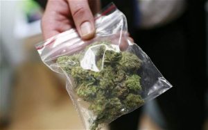 marijuana dealer bag