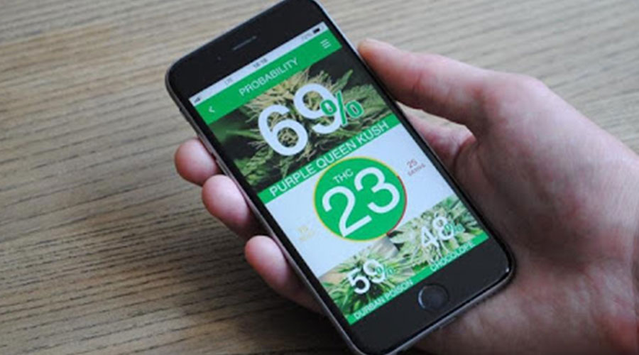 Kush Scan cannabis app