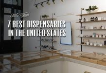 best dispensaries us