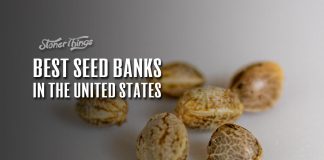 best seed banks us