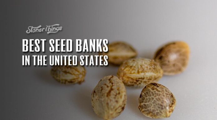 best seed banks us