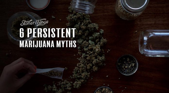 6 Persistent Marijuana Myths marijuana myths