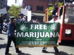 Free Marijuana