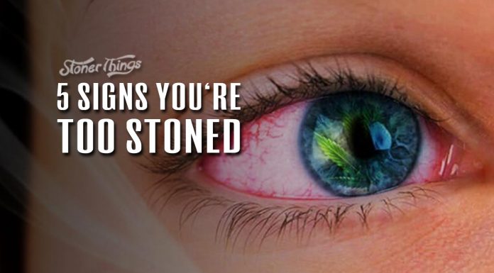 signs youre too stoned