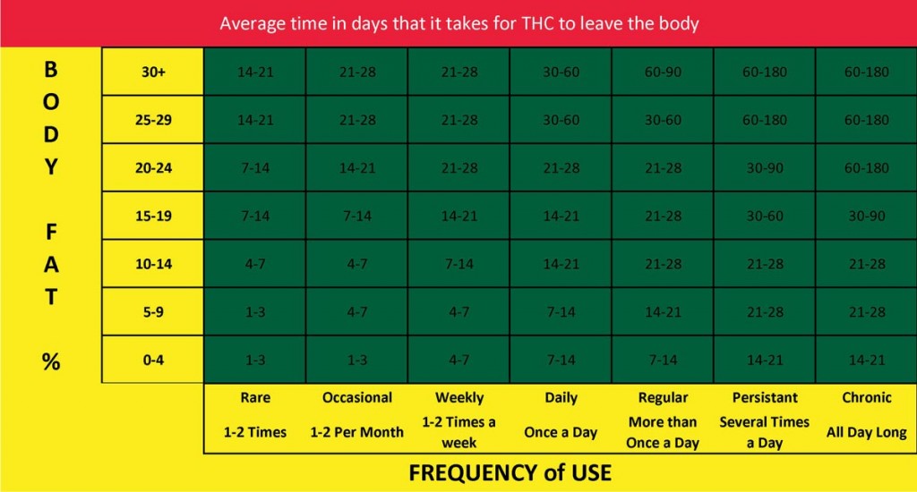 THC-Detox-Times