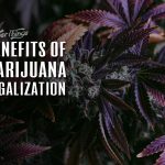 benefits marijuana legalization
