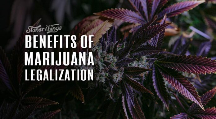 benefits marijuana legalization