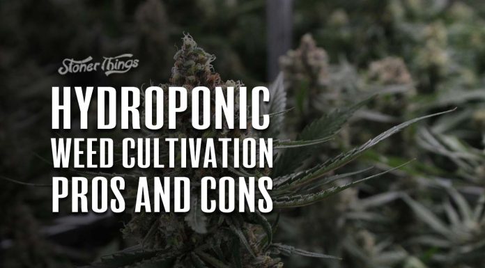 hydroponic weed cultivation pros and cons