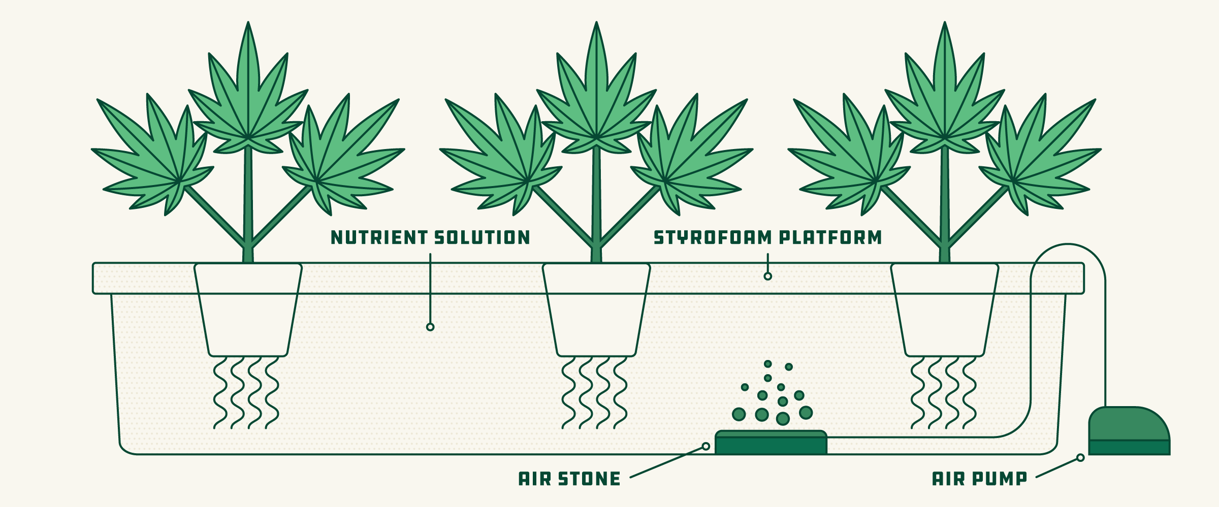 hydroponic weed grow guide