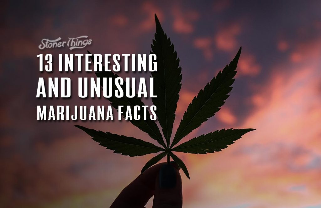 13 Interesting And Unusual Marijuana Facts - Stoner Things