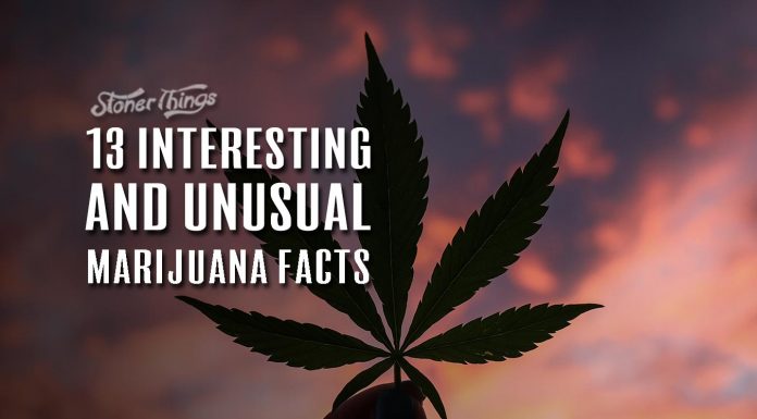 marijuana facts