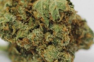 tastiest marijuana strains