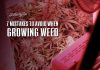 mistakes avoid growing weed