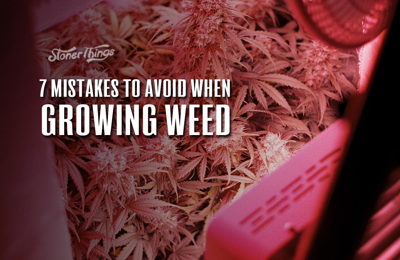 mistakes avoid growing weed