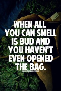 what does weed smell like