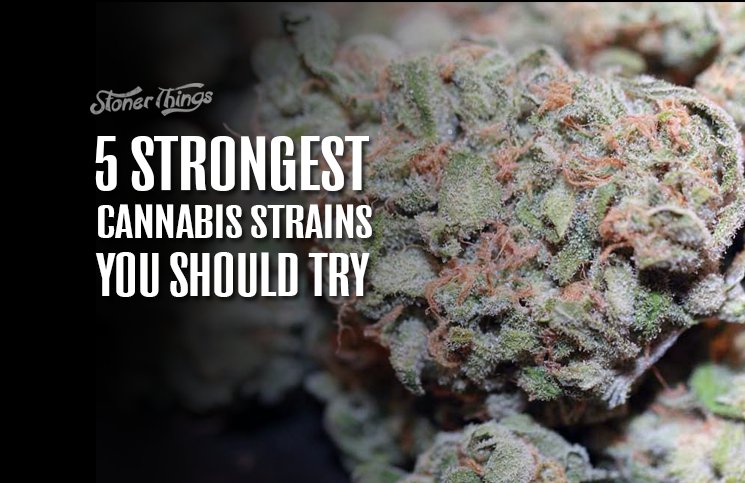 Strongest Cannabis Strains