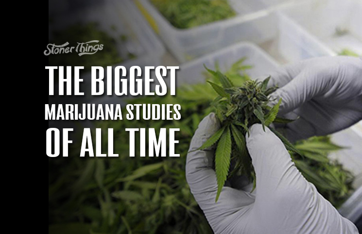 Marijuana studies