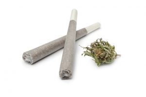 Marijuana Joints and Bud