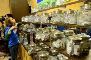Colorado Marijuana Store Pot Shop
