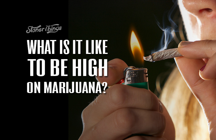High on marijuana