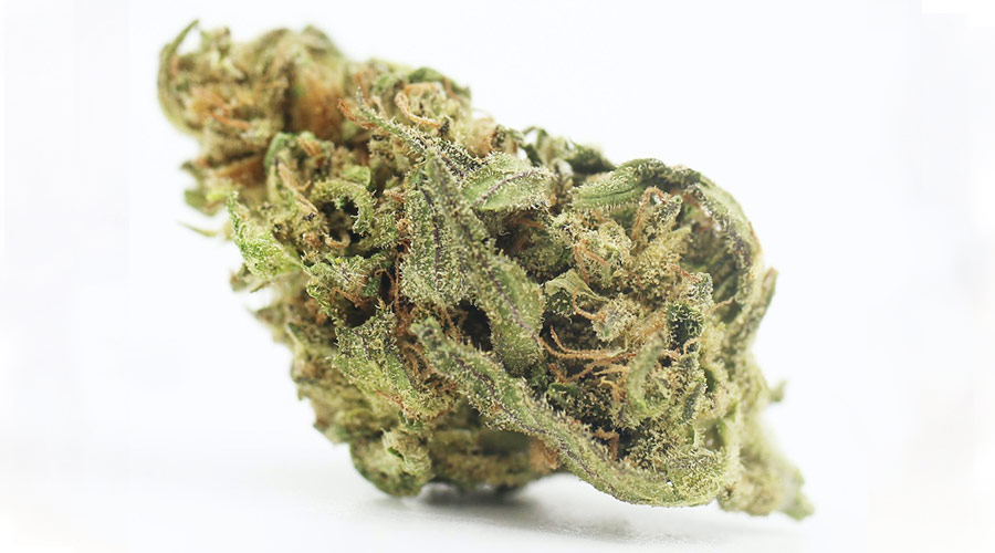 The Most Popular Weed Strains of the Last 50 Years Stoner Things