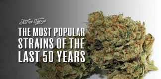 most popular strains last 50 years