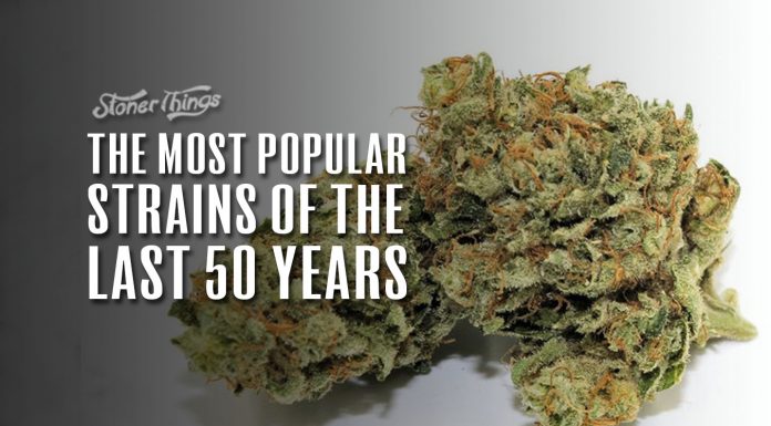 most popular strains last 50 years