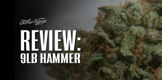 9lb hammer strain review