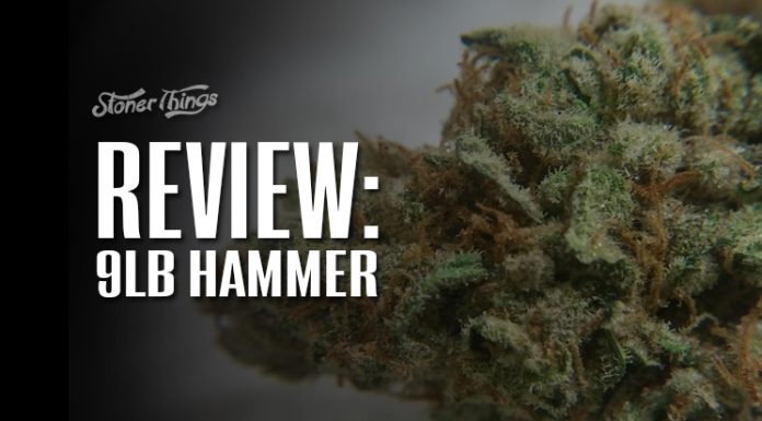 9lb Hammer Strain Review 9lb hammer strain review