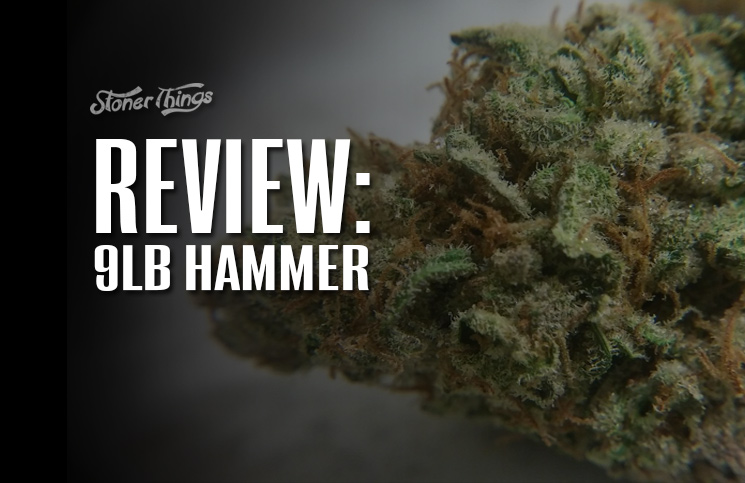 9lb hammer strain review