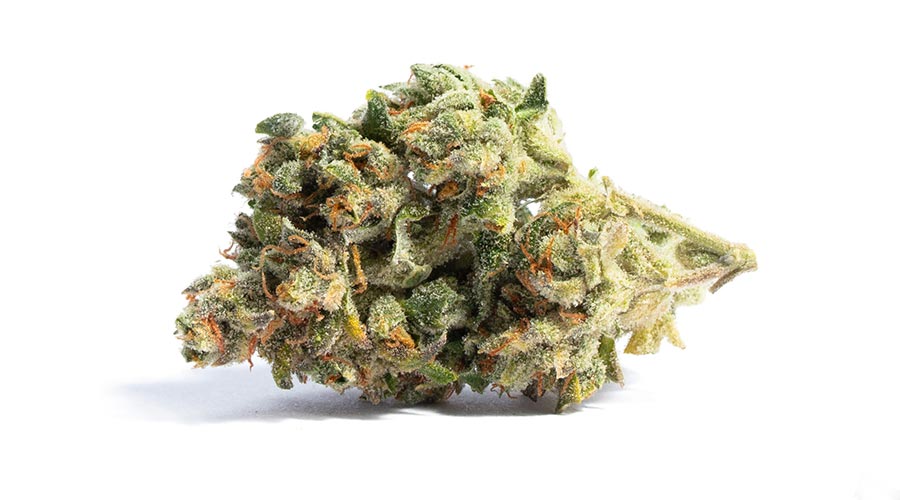 Acapulco Gold Strain Review
