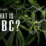 CBC cannabinoid