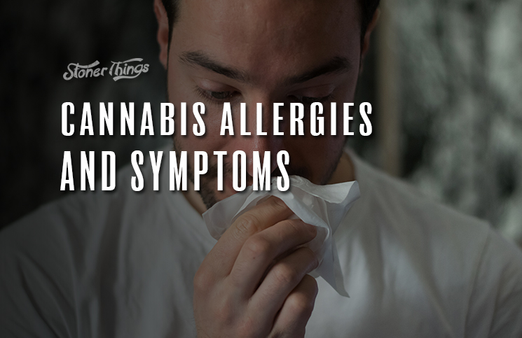 cannabis allergies symptoms