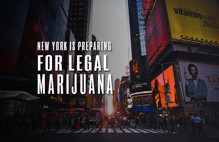 new york preparing legal marijuana