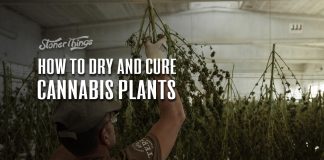 drying curing weed
