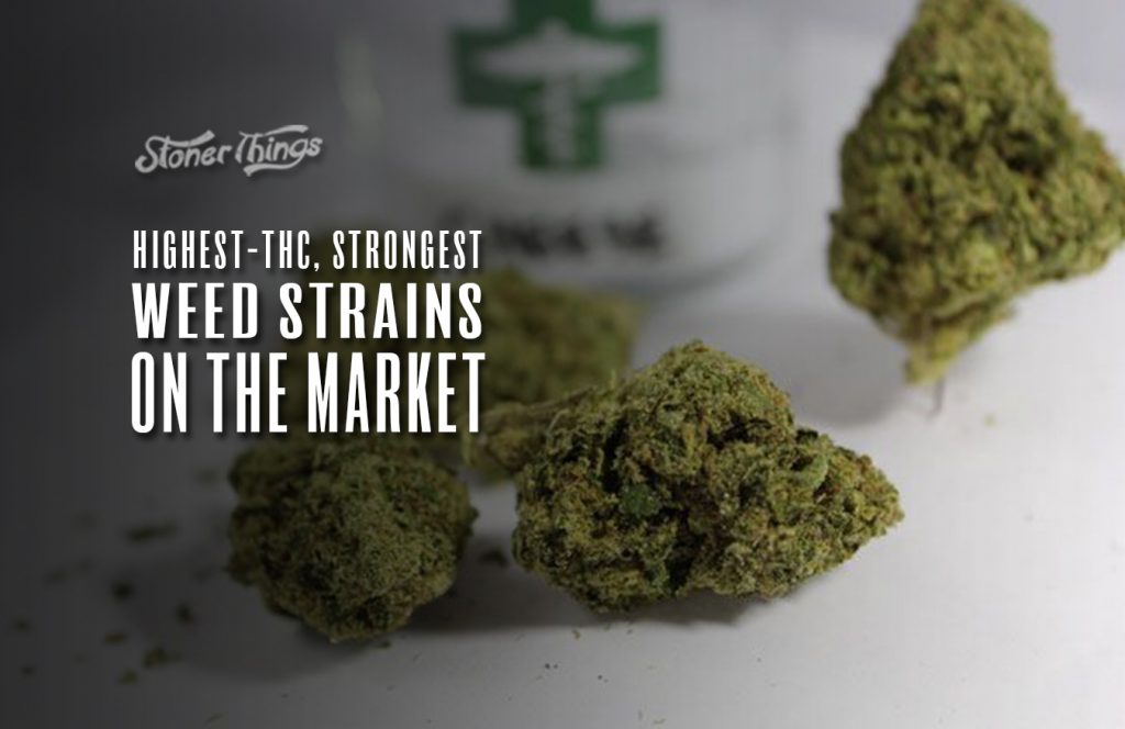 The Strongest, Highest-THC Marijuana Strains In 2019 - Stoner Things