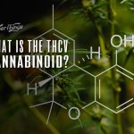 thcv cannabinoid