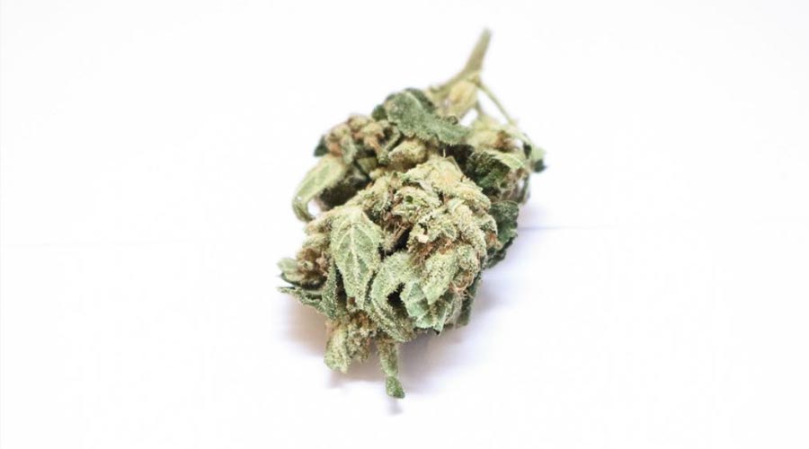 Strawberry Cough Weed Strain Review