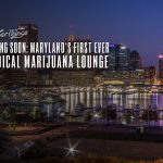 maryland first medical marijuana lounge